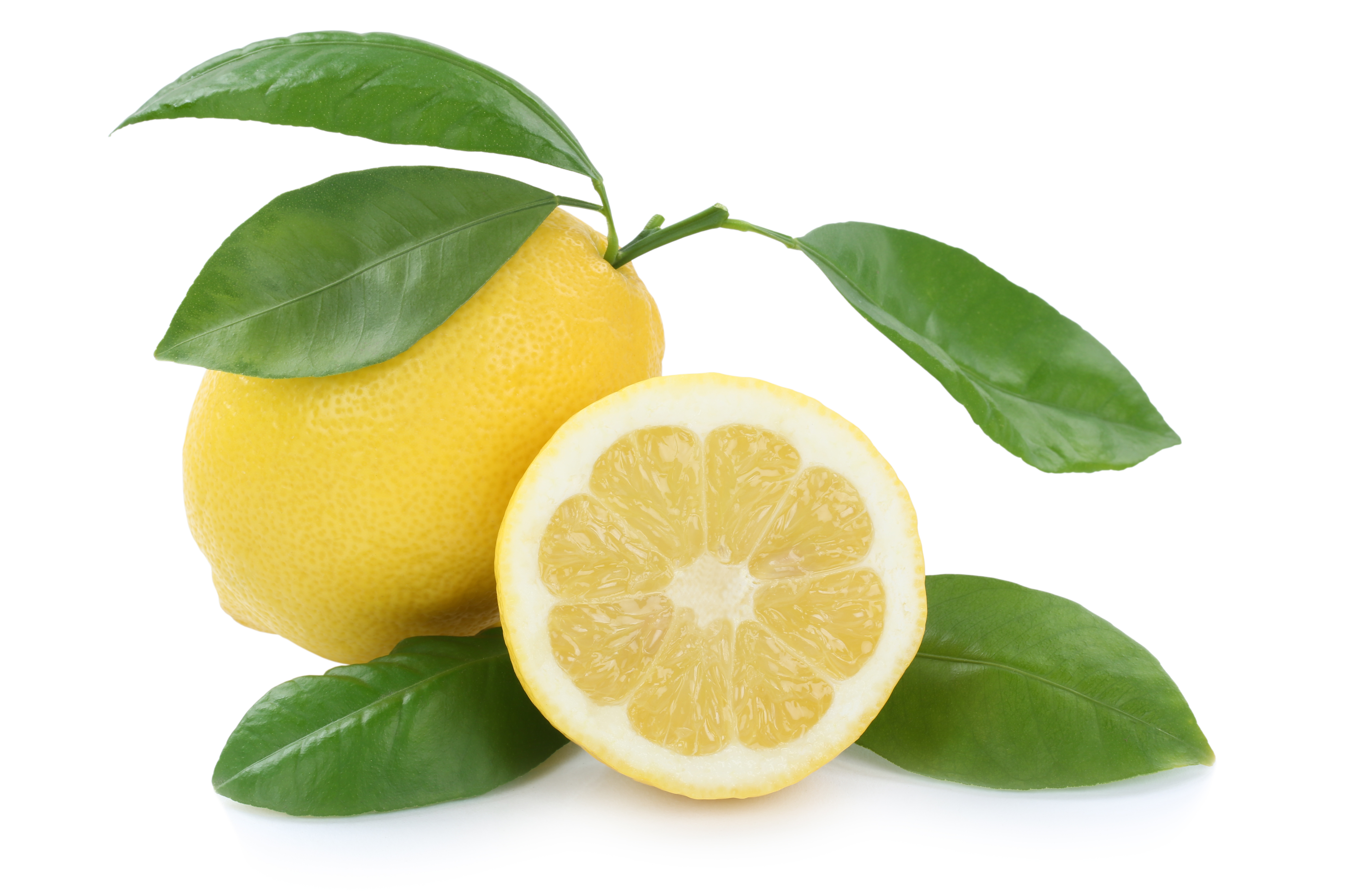 Schmeckt sauer, macht wach: die Zitrone